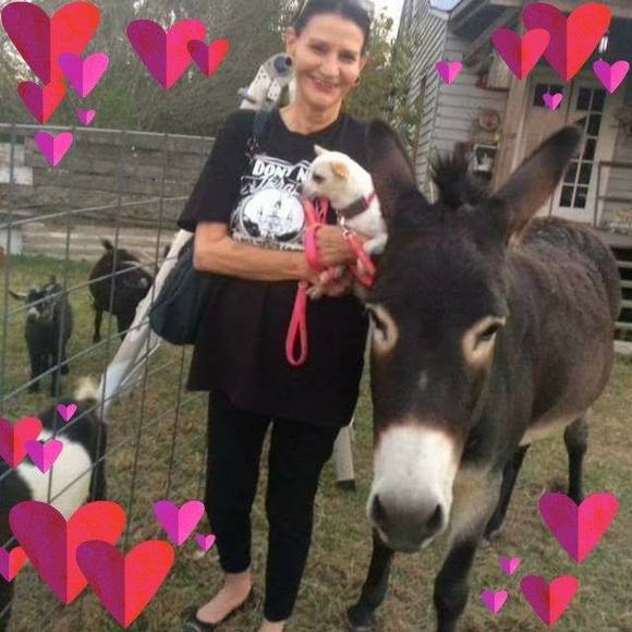 daisymom7